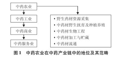 我国中药产业现状分析和现状